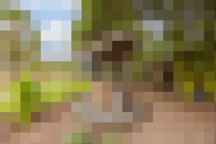 Leeuwerikstraat 38 Mill thumbnail 33