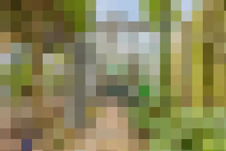 Leeuwerikstraat 38 Mill thumbnail 36
