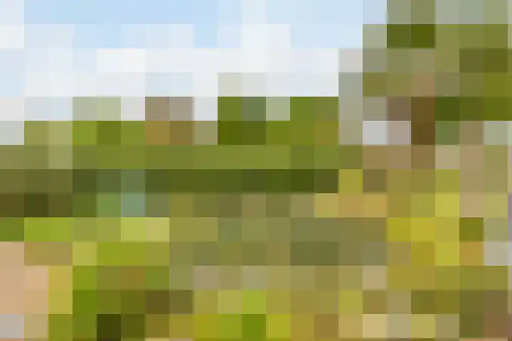 Leeuwerikstraat 38 Mill thumbnail 39