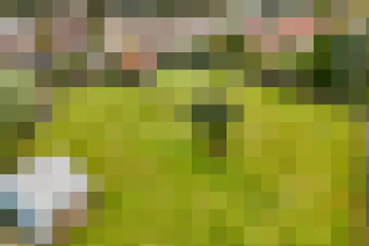 Leeuwerikstraat 38 Mill thumbnail 4