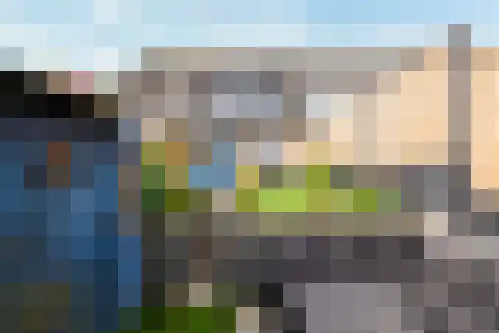 Leeuwerikstraat 38 Mill thumbnail 40