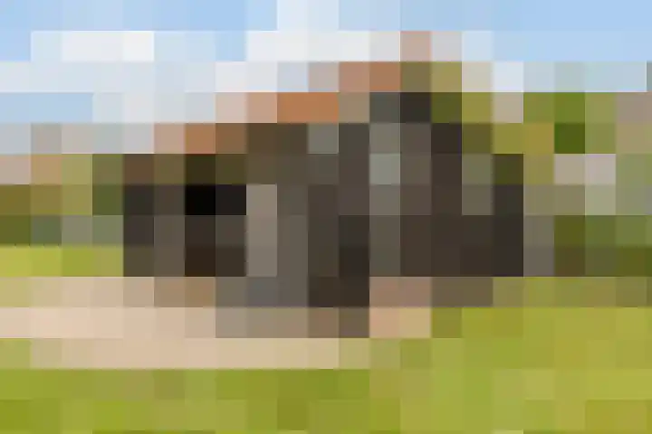 Leeuwerikstraat 38 Mill thumbnail 42