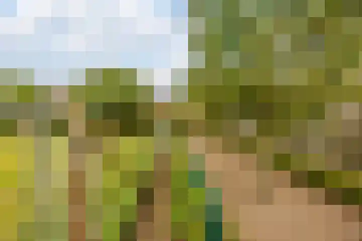 Leeuwerikstraat 38 Mill thumbnail 43