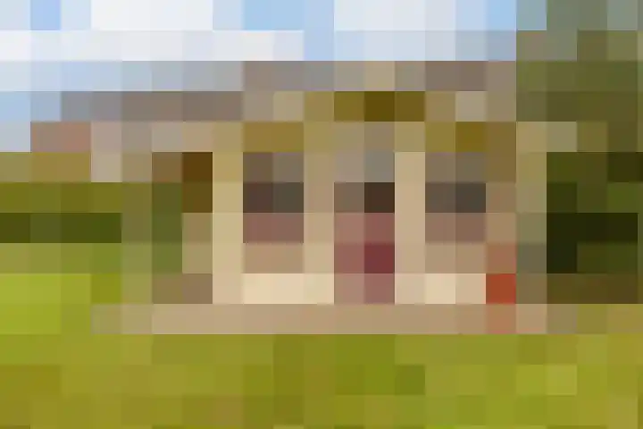 Leeuwerikstraat 38 Mill thumbnail 45