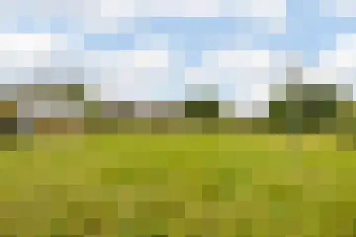 Leeuwerikstraat 38 Mill thumbnail 46