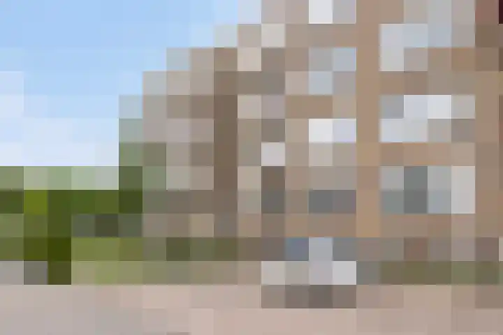 Leeuwerikstraat 38 Mill thumbnail 48