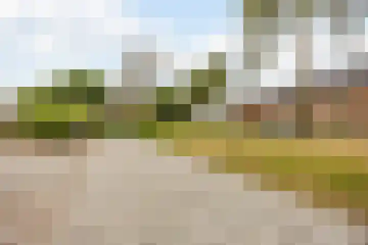 Leeuwerikstraat 38 Mill thumbnail 48