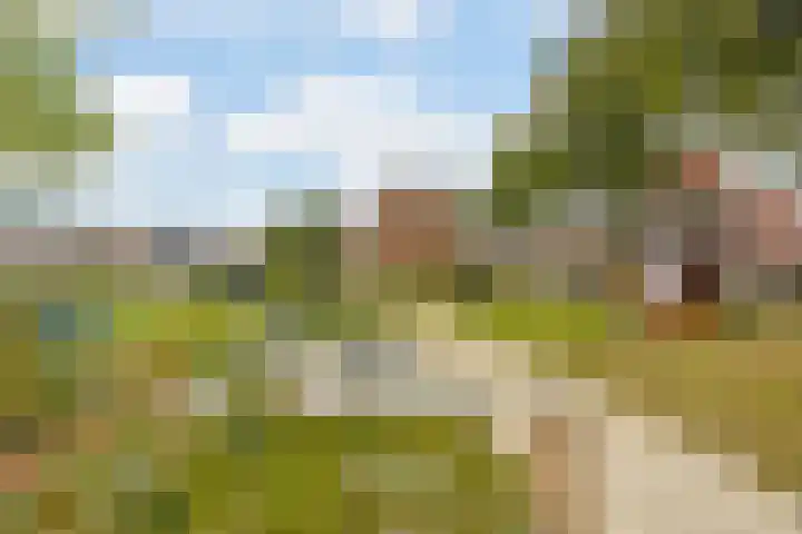 Leeuwerikstraat 38 Mill thumbnail 51