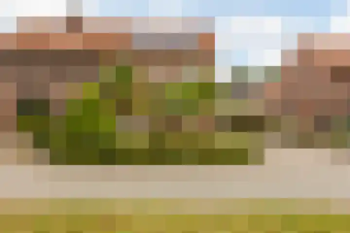 Leeuwerikstraat 38 Mill thumbnail 6