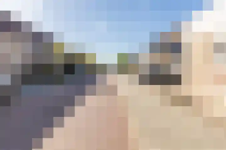 Leeuwerikstraat 38 Mill thumbnail 7