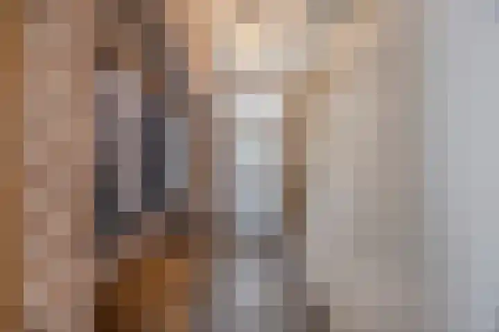 Leeuwerikstraat 38 Mill thumbnail 7