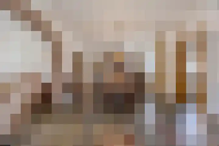 Leeuwerikstraat 38 Mill thumbnail 9