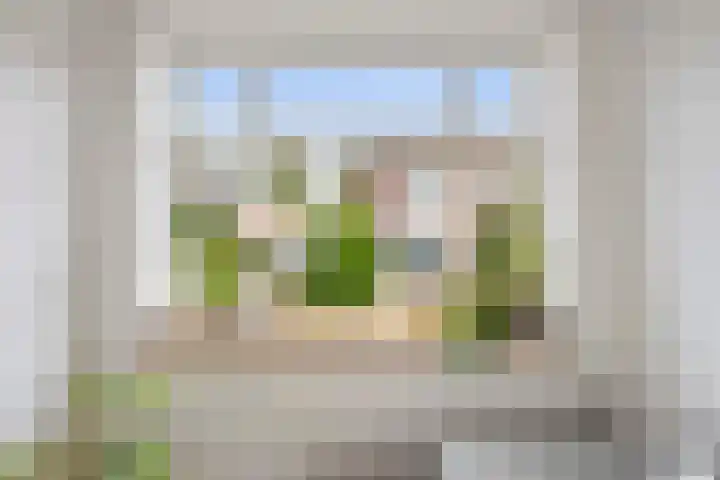 Leeuwerikstraat 44 Haarlem thumbnail 21
