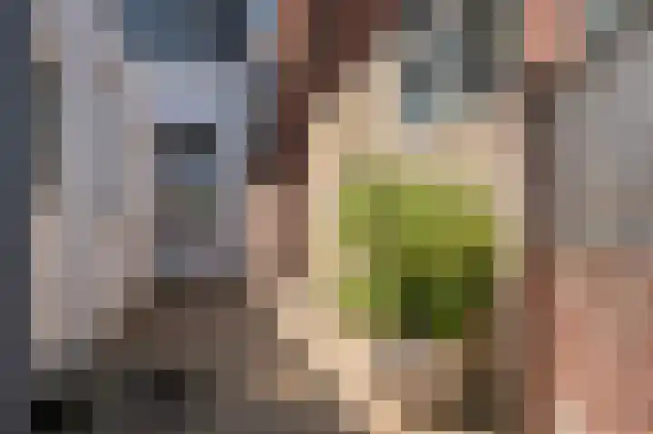 Leeuwerikstraat 68 Venlo thumbnail 36