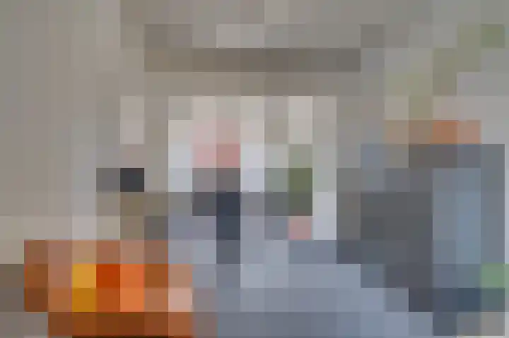 Leeuwerikstraat 68 Venlo thumbnail 4
