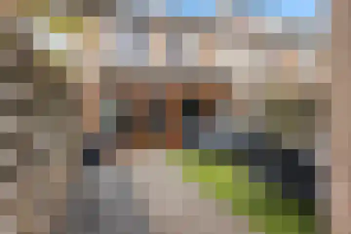 Leeuwerikstraat 8 Vianen thumbnail 44