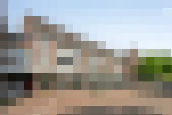Leeuwstraat 36 Venray thumbnail 23