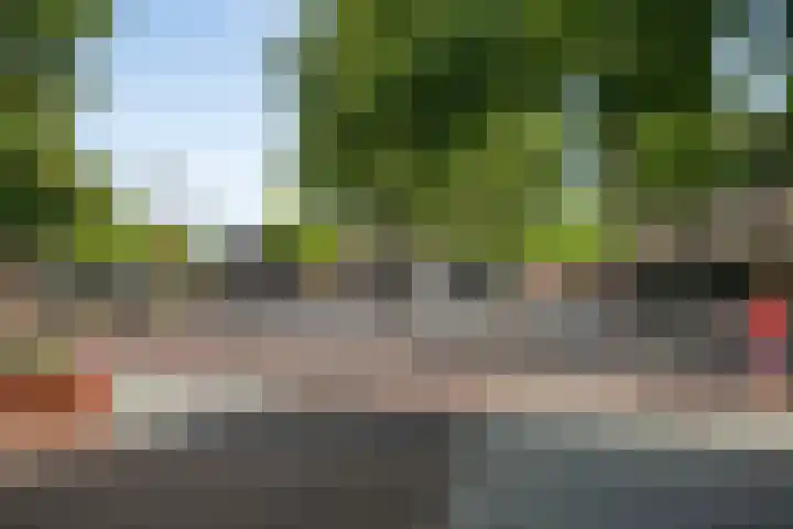 Leeuwstraat 36 Venray thumbnail 24