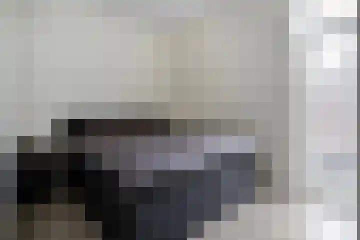 Lefershoek 7 Den Ham thumbnail 18