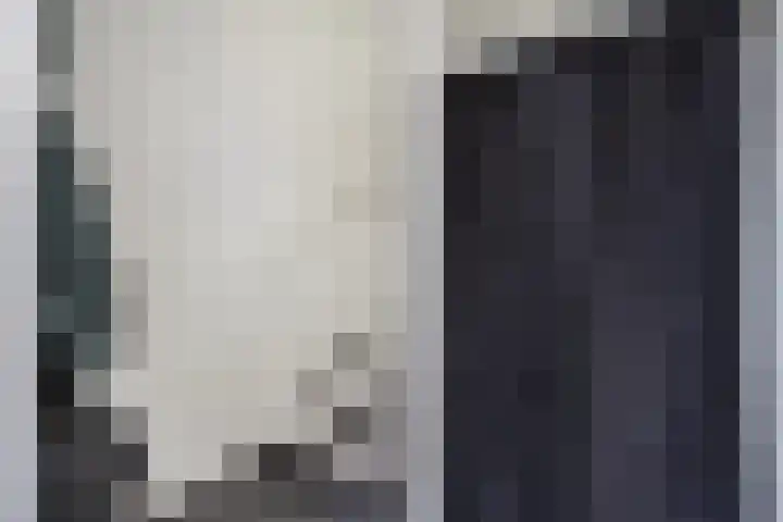 Lefershoek 7 Den Ham thumbnail 6