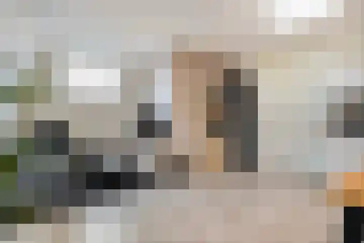 Lefershoek 7 Den Ham thumbnail 8
