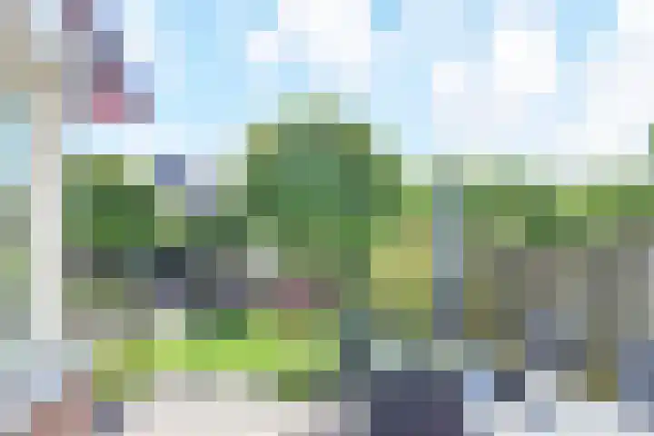 Legakker 35 Nootdorp thumbnail 4