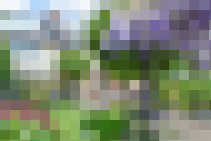 Legakker 35 Nootdorp thumbnail 8