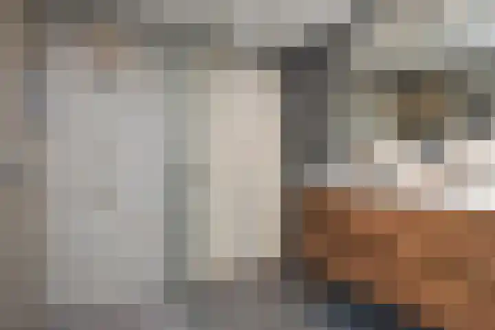 Legakker 35 Nootdorp thumbnail 4