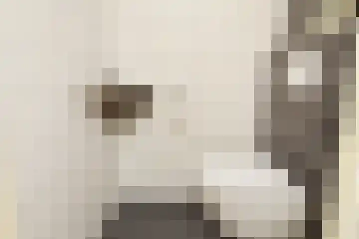 Legakker 35 Nootdorp thumbnail 9