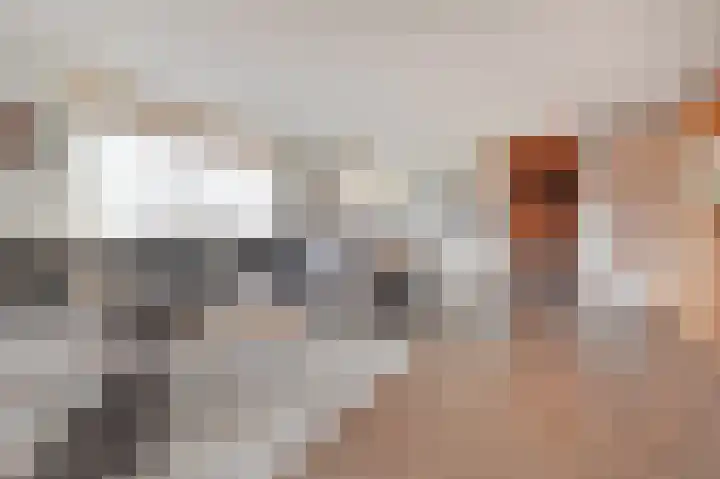 Legakker 38 Nootdorp thumbnail 10