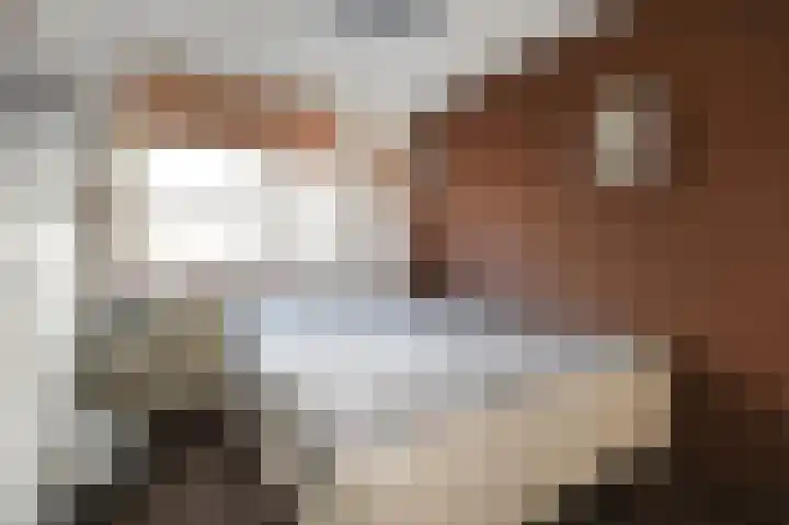 Legakker 38 Nootdorp thumbnail 24