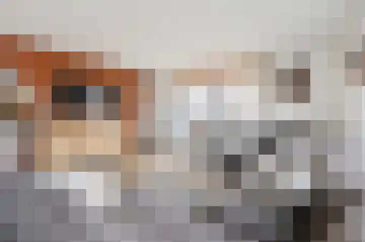 Legakker 38 Nootdorp thumbnail 7