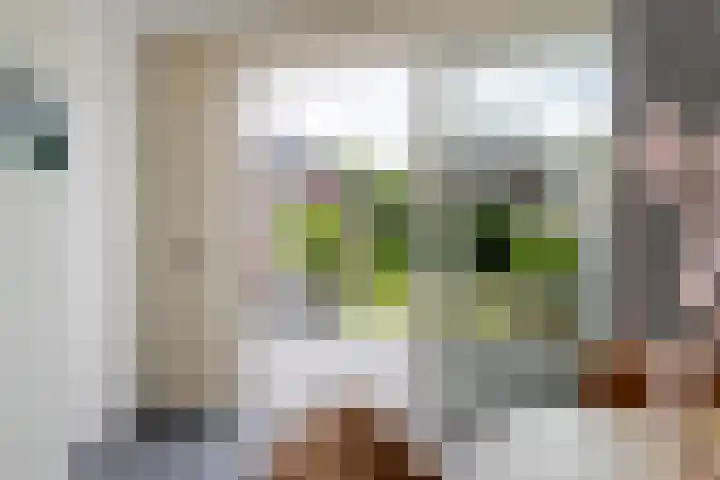 Lege Kamp 26 Ureterp thumbnail 11