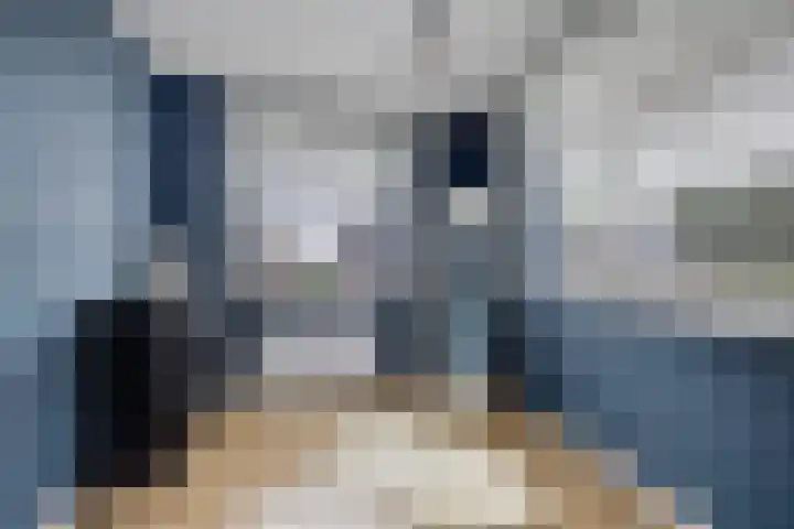 Lege Kamp 26 Ureterp thumbnail 19