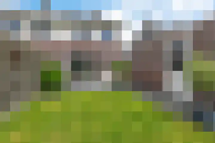 Lege Kamp 26 Ureterp thumbnail 30