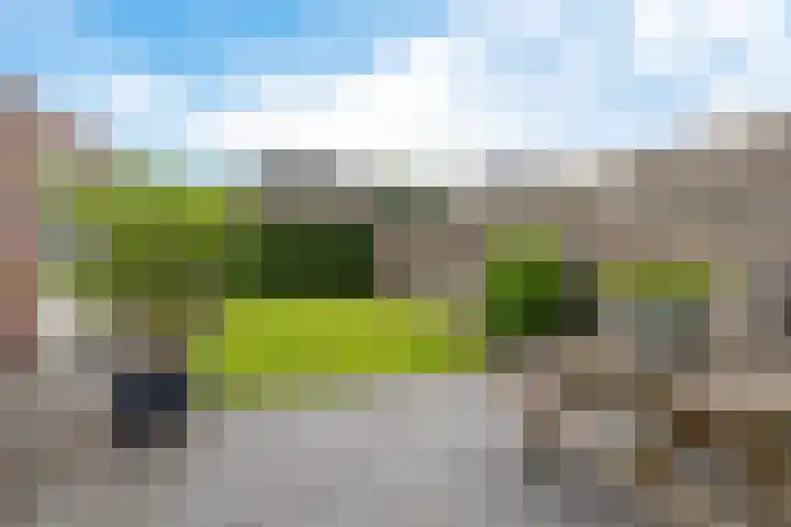 Lege Kamp 26 Ureterp thumbnail 31