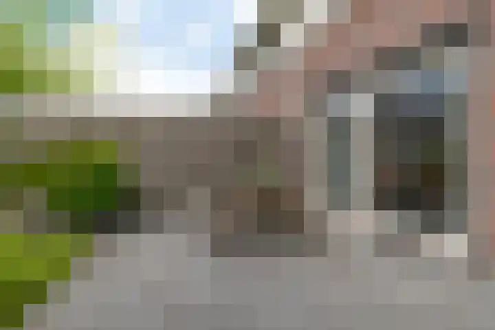 Lege Kamp 26 Ureterp thumbnail 36