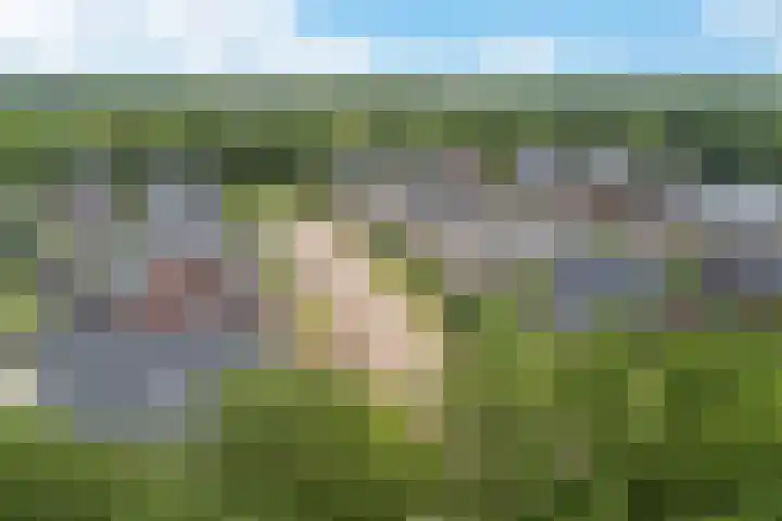 Lege Kamp 26 Ureterp thumbnail 47