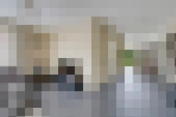 Lege Kamp 26 Ureterp thumbnail 5