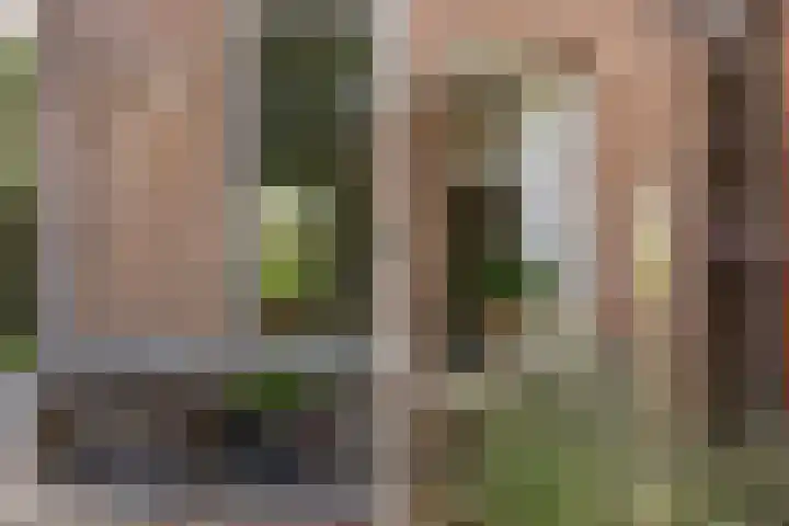 Legedyk 40 Wirdum thumbnail 10