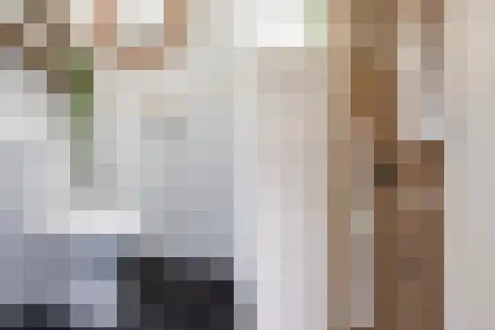 Legedyk 40 Wirdum thumbnail 15