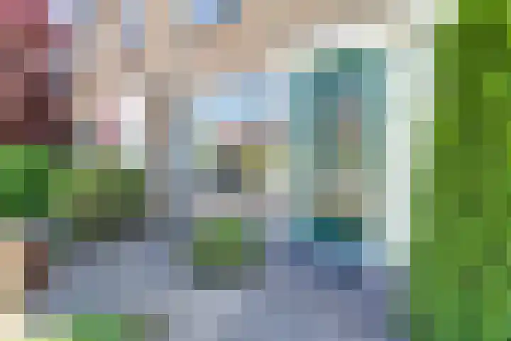 Legedyk 40 Wirdum thumbnail 16