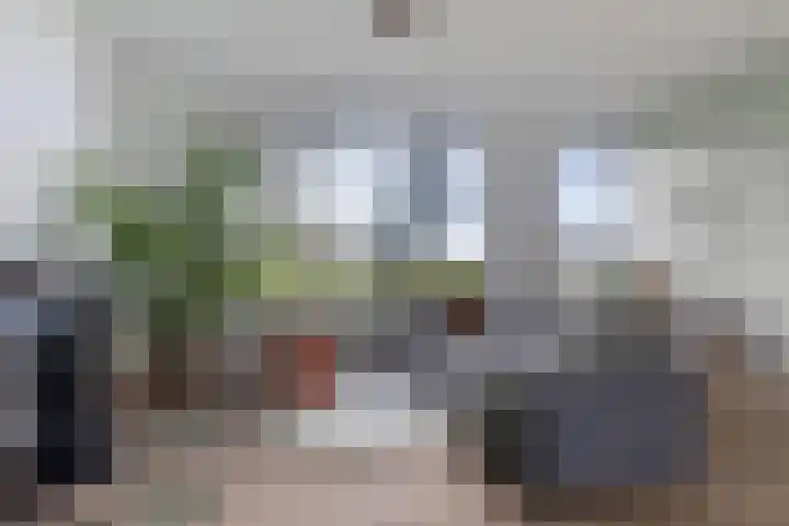 Legedyk 40 Wirdum thumbnail 19
