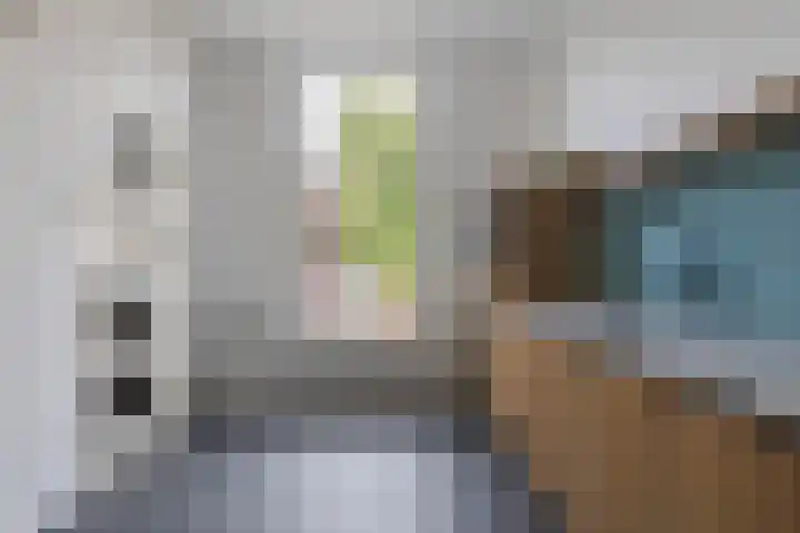 Legedyk 40 Wirdum thumbnail 22