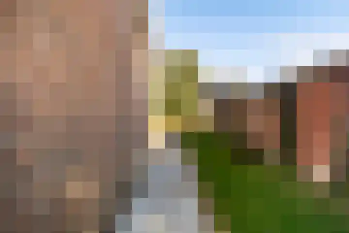 Legedyk 40 Wirdum thumbnail 27