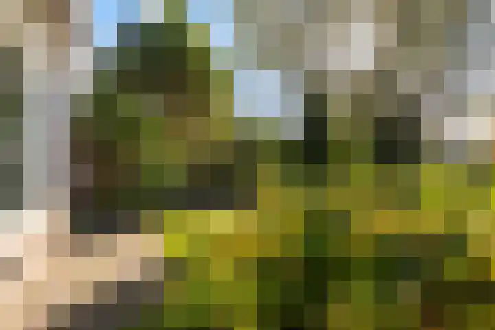 Legedyk 40 Wirdum thumbnail 28