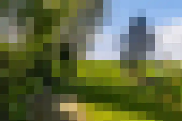 Legedyk 40 Wirdum thumbnail 29