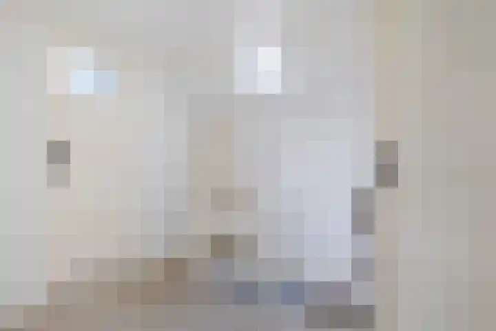 Legedyk 40 Wirdum thumbnail 31