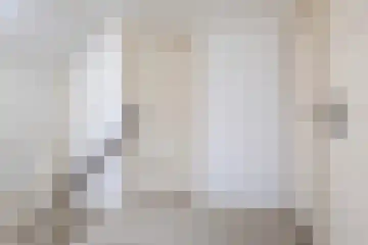 Legedyk 40 Wirdum thumbnail 32