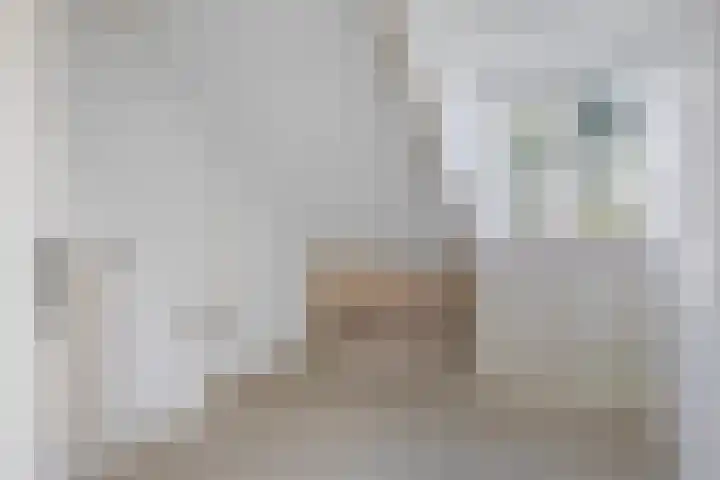 Legedyk 40 Wirdum thumbnail 38